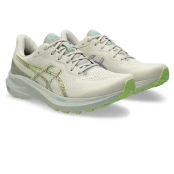 Hombre Asics GT-1000 13 TR zapatillas de trail running - SS25