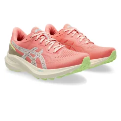 Mujer Asics GT-1000 13 TR zapatillas de trail running para mujer - SS25