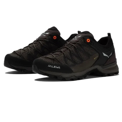 Hombre Salewa Botas de senderismo Mountain Trainer Lite GORE-TEX - AW22