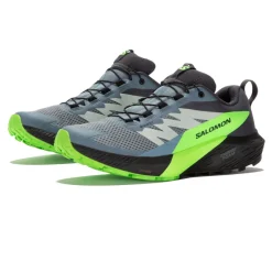 Hombre Salomon Sense Ride 5 GORE-TEX zapatillas de trail running - AW23