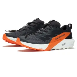 Hombre Salomon Sense Ride 5 GORE-TEX zapatillas de trail running - SS24